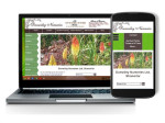 Suíomh Gréasáin Gailearaí